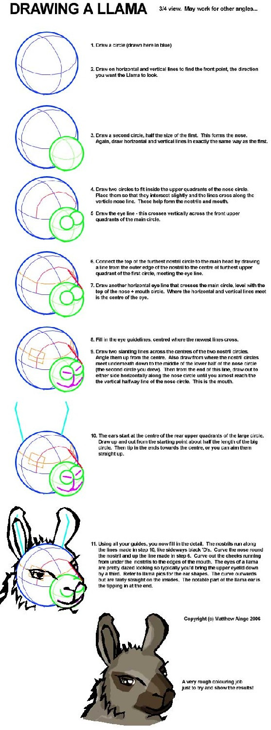 How to draw a llama