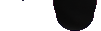 Nose