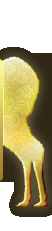 Tail