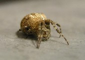 Gallery image - LlamaLAN 6
